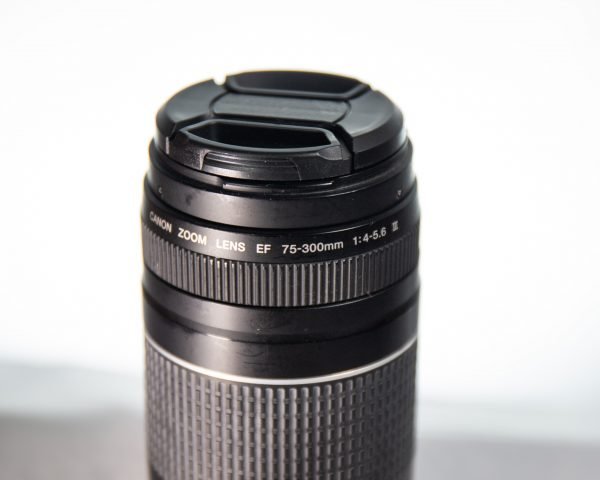 Lente Canon 75-300 III - Como Nuevo - Imagen 4