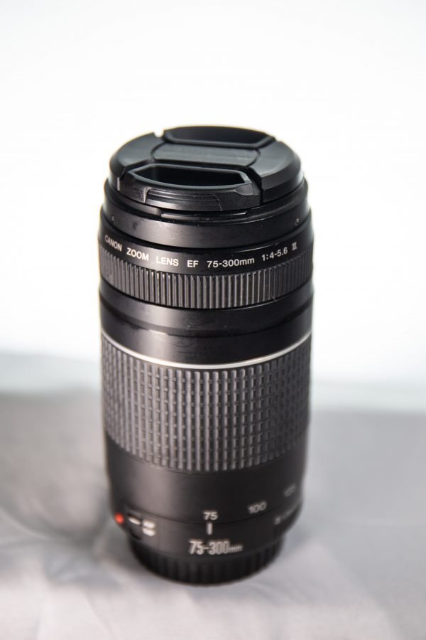 Lente Canon 75-300 III - Como Nuevo - Imagen 2